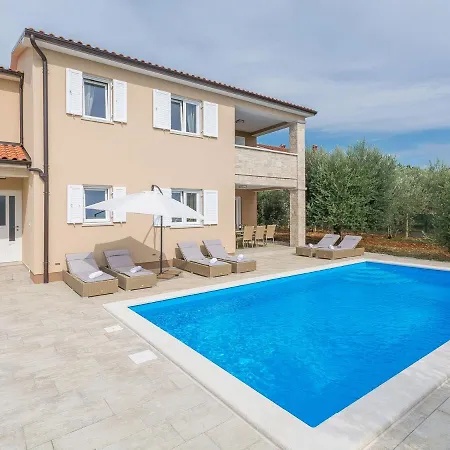 Modern In With Swimming Pool *