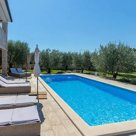 Villa Modern In With Swimming Pool
