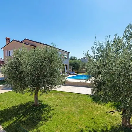Modern In With Swimming Pool Villa Selina